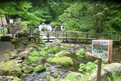 ̉wuӂov